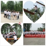 ��Ѹ��2013���Ŷ�Э�� ������������չ��ѵ