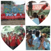 �в�װ�Ρ�Ϊ������������